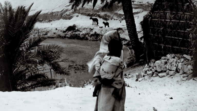 صورة قديمة بالأبيض والأسود من شعاب عام 1948 تظهر أشجار النخيل